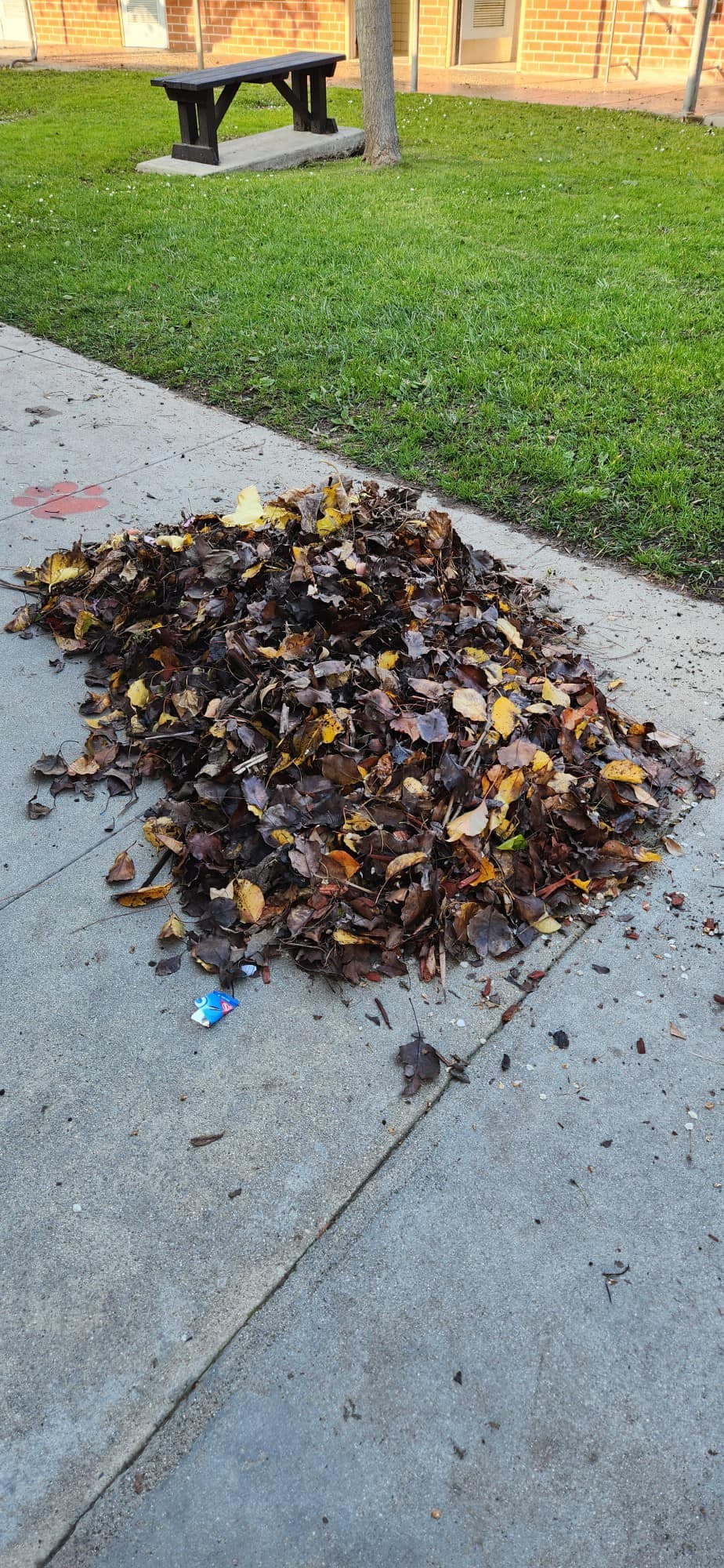 Community Service Photo 2