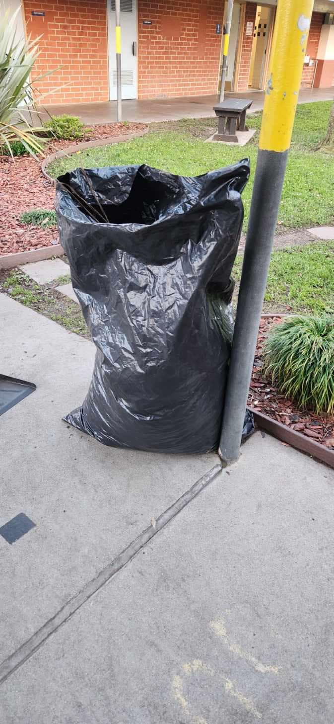 Community Service Photo 3